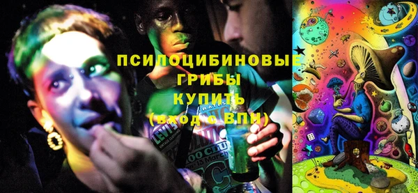 дмт Ростов