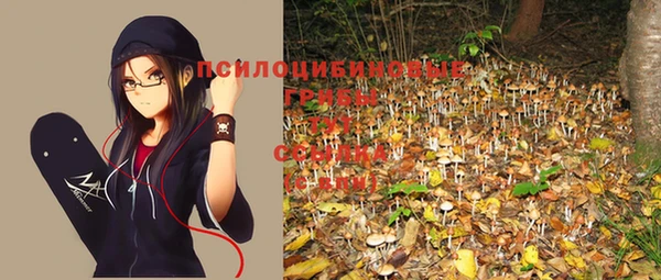 дмт Ростов
